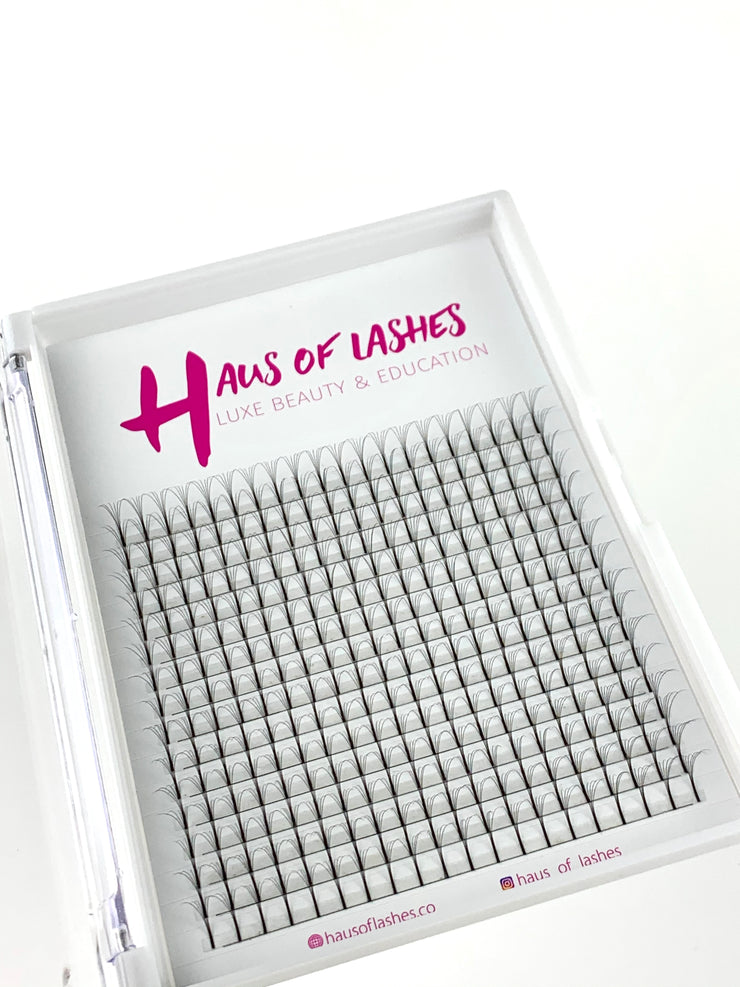 HAUS Pro Made Lashes - 3D